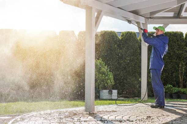 Best Sidewalk and Walkway Cleaning  in Reinholds, PA