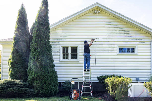 Best Graffiti Removal  in Reinholds, PA